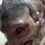 deshinudgess