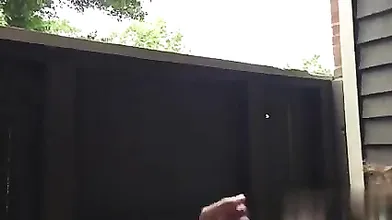 Big Booty Mixed Girl So Nice - Mixed Black Girl