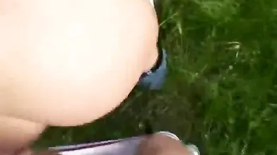 Date in a wood