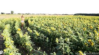 Sunflowers Orgasm