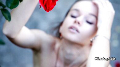 Red rose
