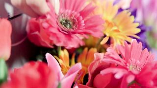 Flowers, a BBC and a creampie