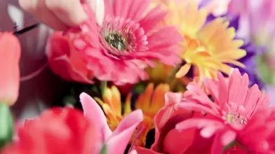 Flowers, a BBC and a creampie