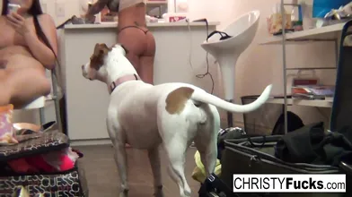 3 Hot pornstars play with each other's pussies