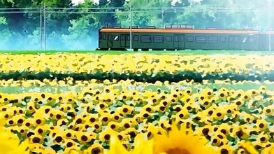 Best romance hentai movie with uncensored scenes