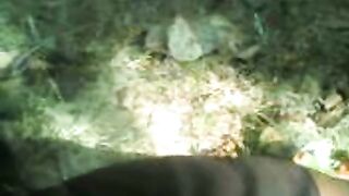 Indian Couple Having Sex Outdoors