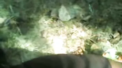 Indian Couple Having Sex Outdoors