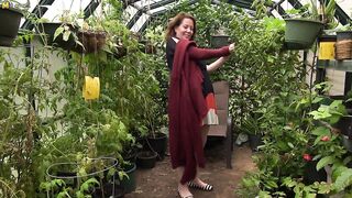 This American cougar gets frisky in her gardenhouse