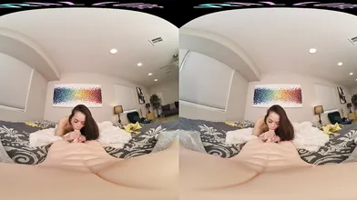 Net Down Cock Up