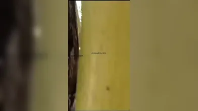 Tamil Outdoor Blowjob