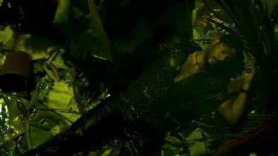 Raayan Tamil Movie