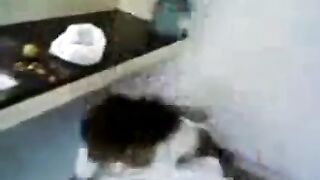 Tamil Show Boobs In Kitchen