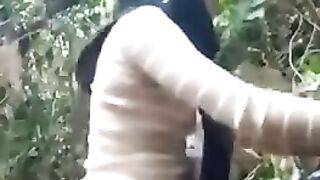 MESUM DI HUTAN