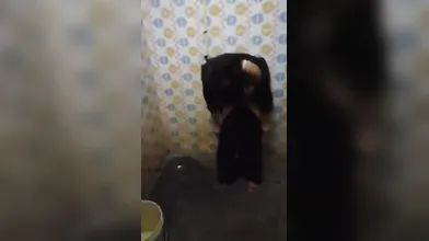Girlfriend show her boobs and pussy to boyfriend