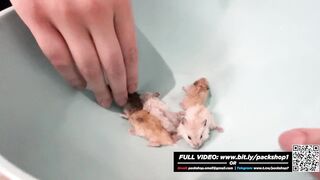 Hot and hungry woman devours her friends for fun - Vore Giantess