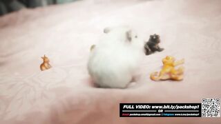 Fat and hungry woman devours her poor hamster - Vore Giantess