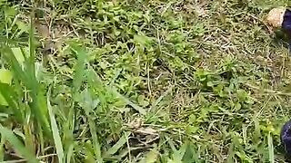 Lucknow girl cheating her husband