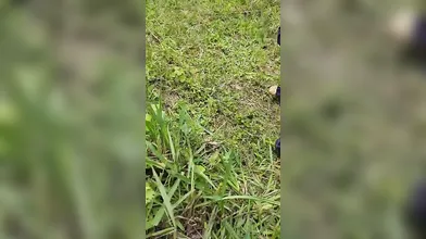 Lucknow girl cheating her husband