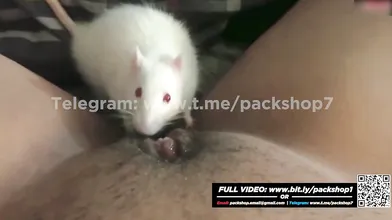 Hot, hungry women devouring living creatures - Fetish
