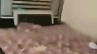 HInDI Indian Punjabi Couple Cought Sex
