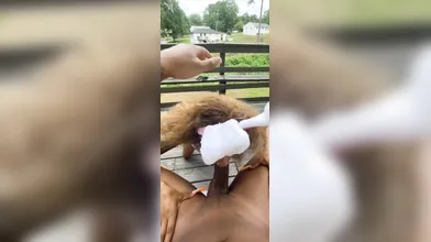 I Put The Video In Full Screen Now You Can Cum Better