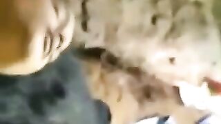 Desi pussy