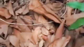 Beautiful????Virgin Nepali College Girl????Fucking With Her Bf In Forest!????????