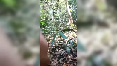 Beautiful Virgin Nepali College Girl Fucking With Her Bf In Forest!