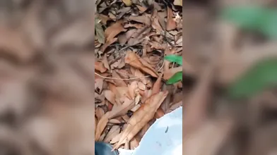 Beautiful Virgin Nepali College Girl Fucking With Her Bf In Forest!