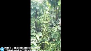 Dehati Mallu Randi Bhabhi Jungle Sexover Sath Chudai Karke
