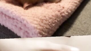 Memek pink colmek