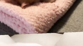 Memek pink colmek