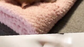 Memek pink colmek
