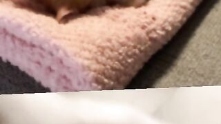 Memek pink colmek