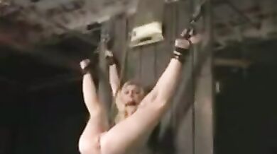 Vintage Bdsm 2
