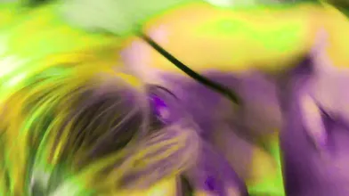 POV Deepthroat