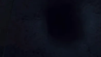 3D Bizzaro Anal