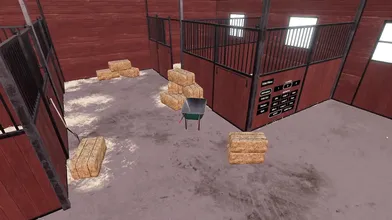 All The Way Through The Ass