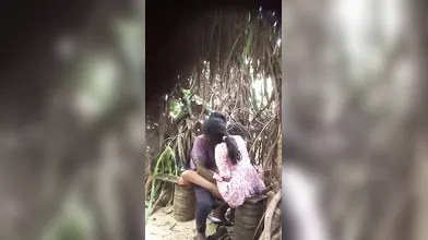 Desi Lovers In Park Sex