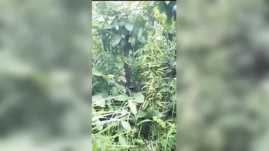 Indian Village Girl Outdoor Fucking
