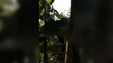 Village Couple Outdoor Sex