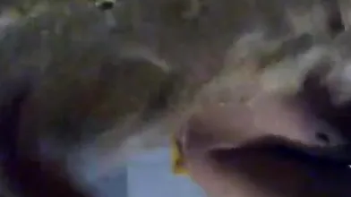 Tamil Aunty Fucked Lover
