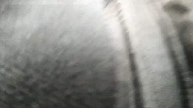 Public dick flash in city
