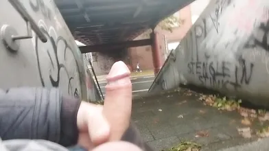 Public dick flash in city