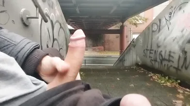 Public dick flash in city