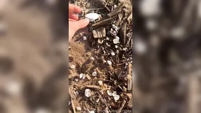Amateur porn Gives Us Some Foot Fetish Aurora