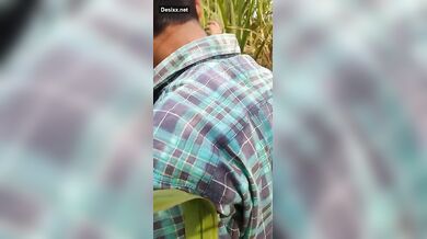 Desi Couples Caught Hindi Audio