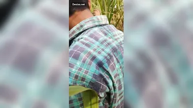 Desi Couples Caught Hindi Audio