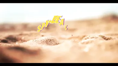 Pussy And Ass ,spycam On The Beach