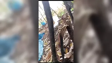 Telugu Mature Paid Bhabhi Giving Handjob And Fucking In Outdoor With Short Man (Viral MMS)